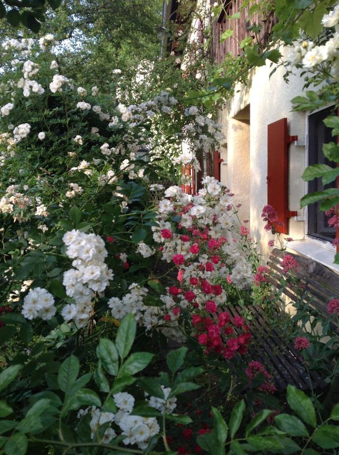 ショーンドルフ・アム・アンマーゼー Haus Probst Am See Bed & Breakfast エクステリア 写真